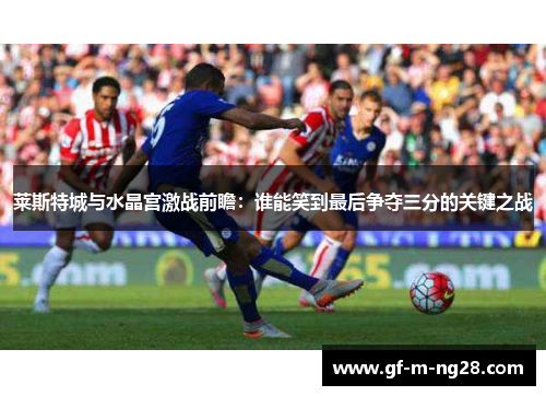 莱斯特城与水晶宫激战前瞻:谁能笑到最后争夺三分的关键之战 莱斯特城与水晶宫激战前瞻:谁能笑到最后争夺三分的关键之战