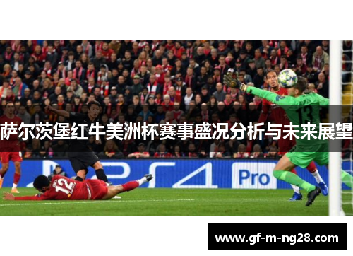 萨尔茨堡红牛美洲杯赛事盛况分析与未来展望 萨尔茨堡红牛美洲杯赛事盛况分析与未来展望